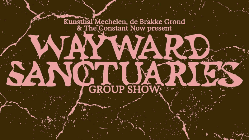 Wayward Sanctuaries