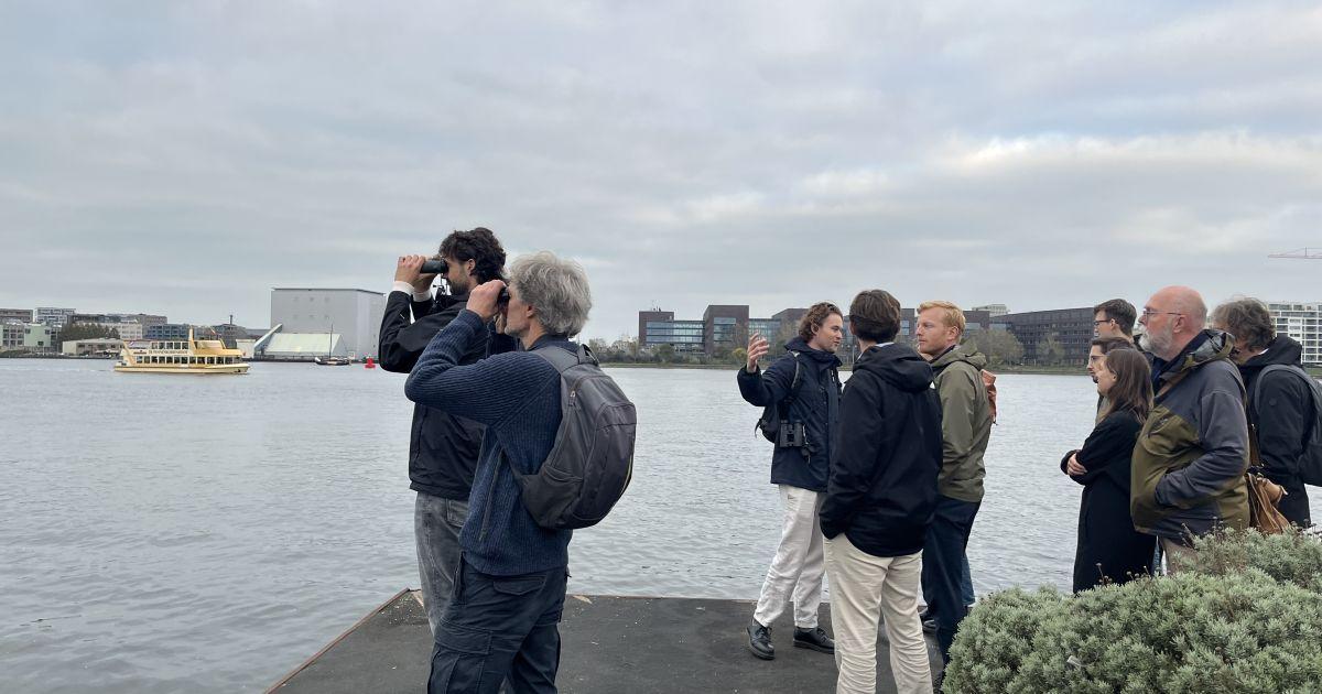 Dichtbij de zee