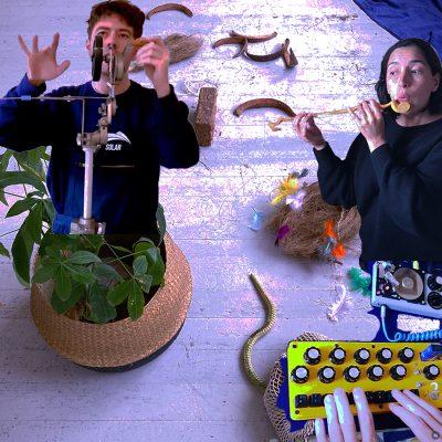 Coconuts nuts & Sorte Muld, concert & danceperformance