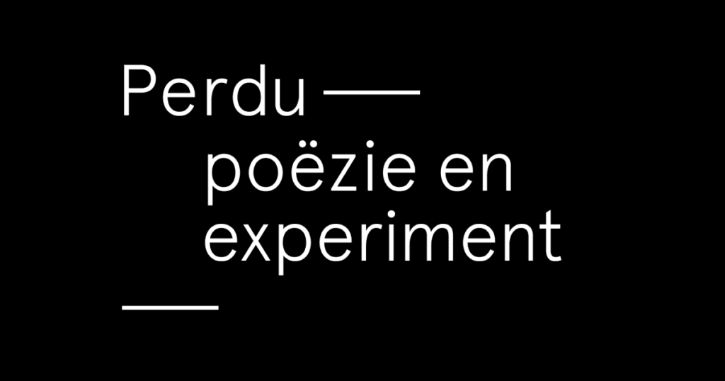 Perdu schrijfworkshop: Eindpresentatie
