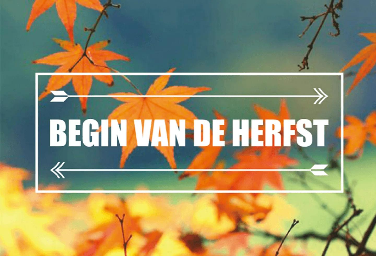 Dienst zonder God