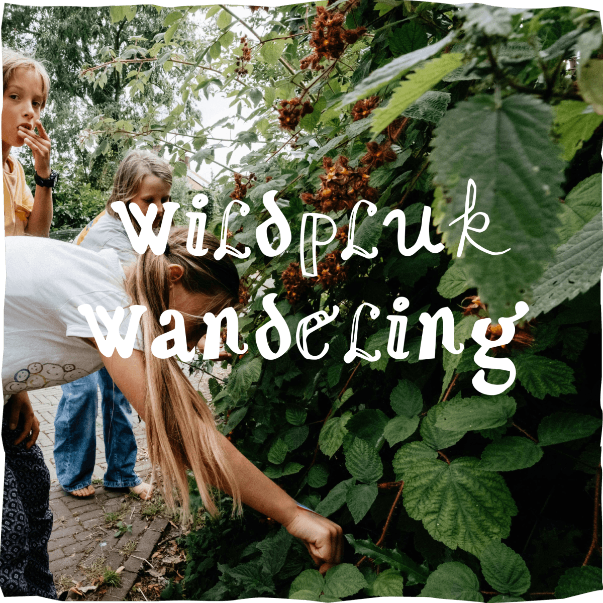 Annie's Wildpluk Poëziewandeling