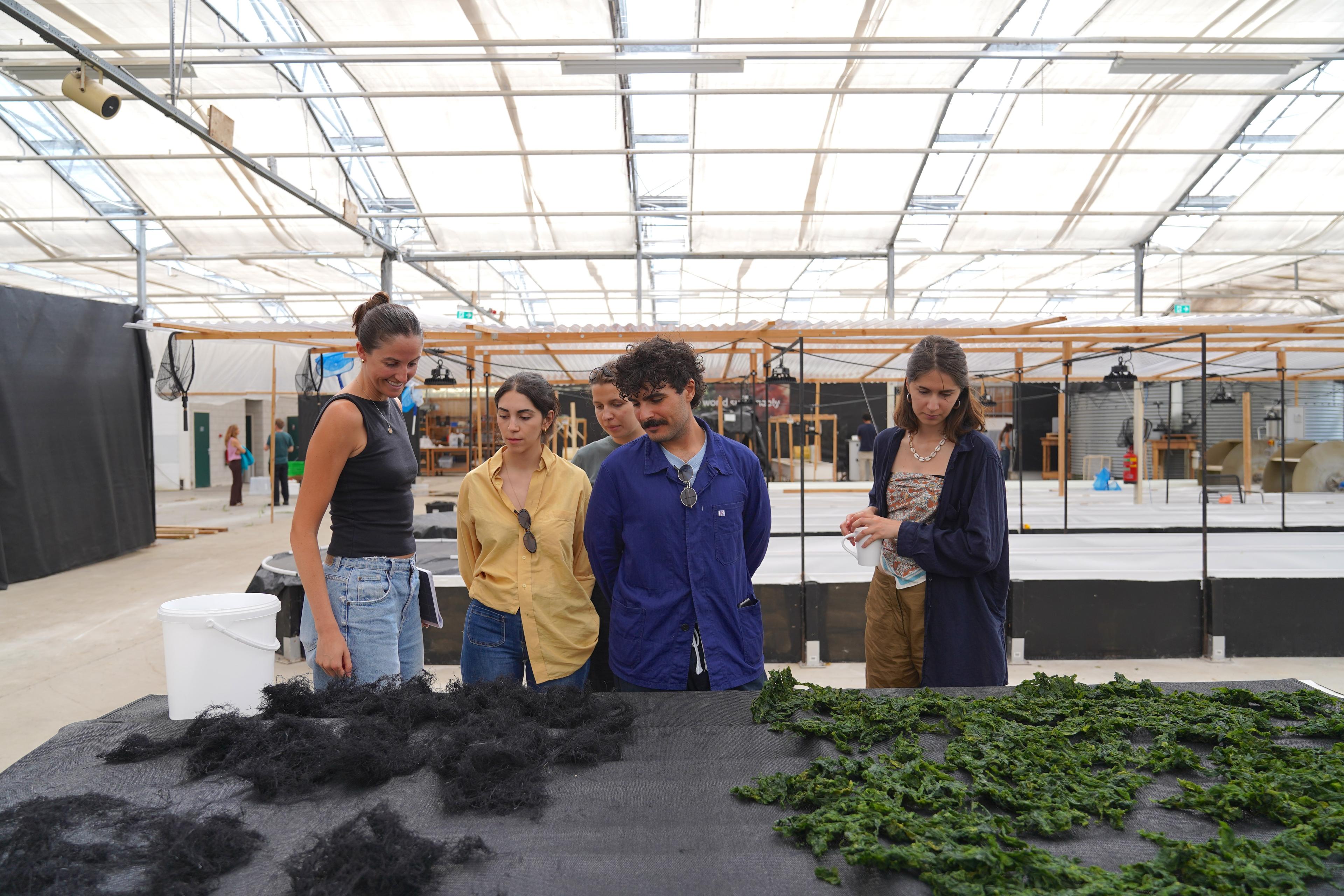 Performance and Dining Experience: Mediamatic Biotoop Seaweed Becomings