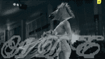 PAARDENRAVE