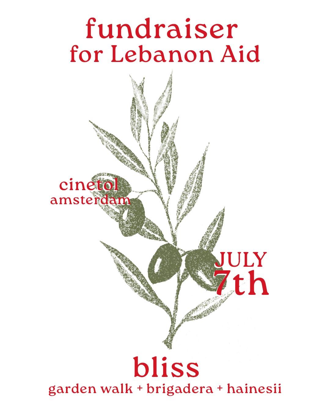 Fundraiser for Lebanon Aid