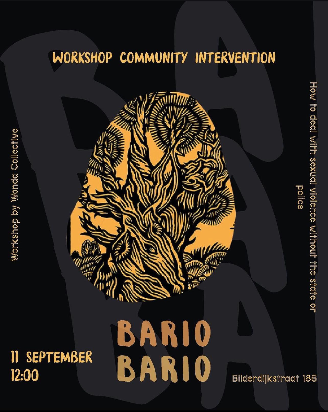 Workshop Community Intervention