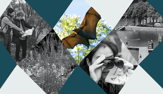 BioBlitz: Nachtdieren