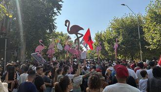 The Flamingo Revolution