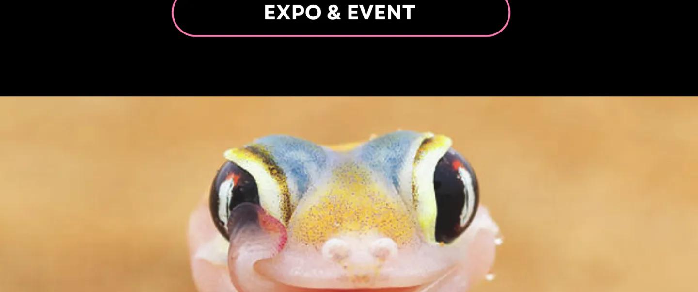 Queer Nature Photography Awards - World Pride Edition